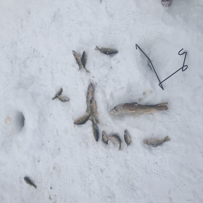 FAFF47E3-3C63-42CF-8C6A-6770E88973E1