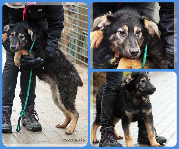 BeFunky-collage (15)