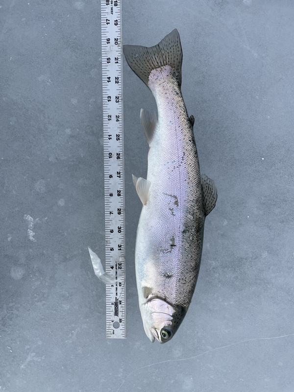 25F2453D-8DFD-4324-B1C7-2C44797ADBBC