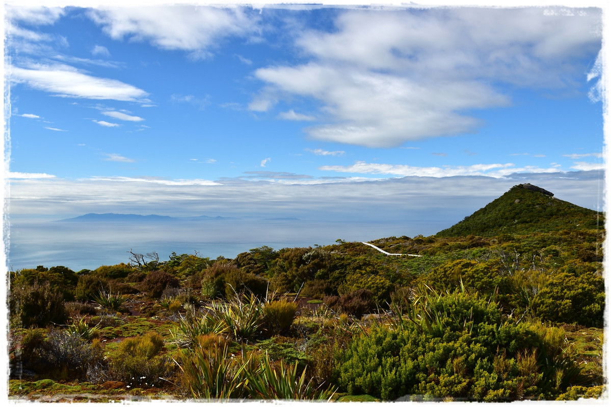 Fiordland NP: Humpridge Track (febrero 2021) - Escapadas y rutas por la Nueva Zelanda menos conocida (44)