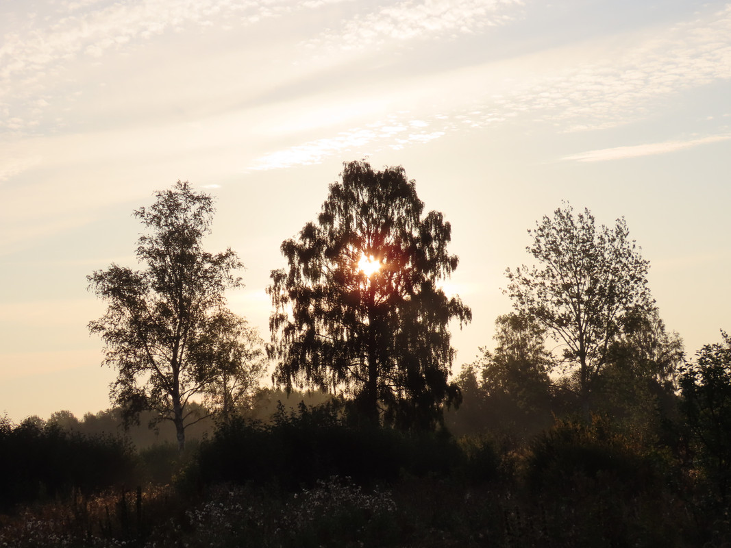 IMG 3486 — Postimages
