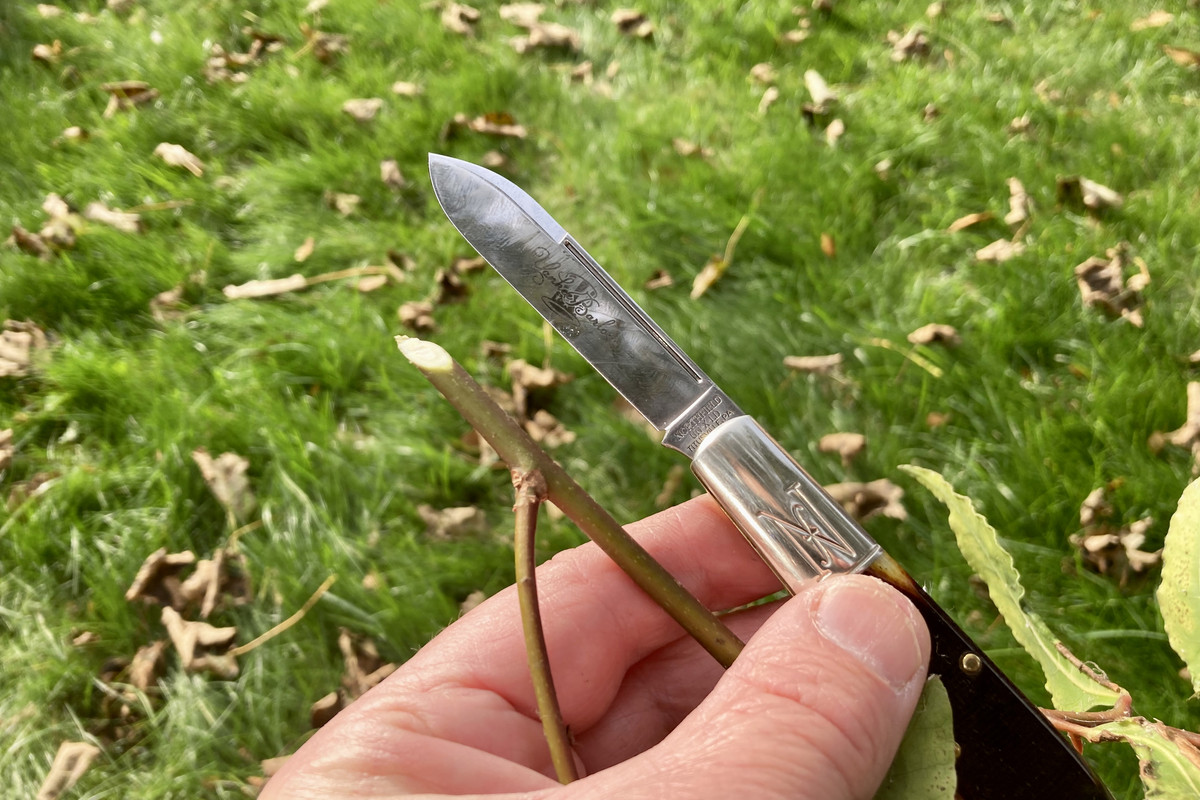 EB75C352-2178-4D3B-BB2D-6D6D9827152F