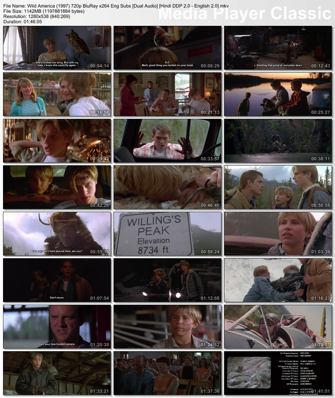 Wild America (1997) 720p Thumbs