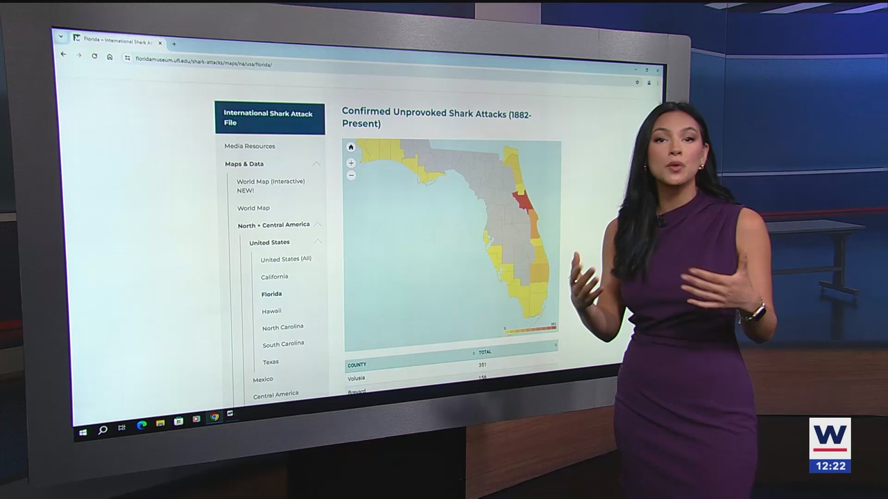 06.10 - 17.00.00 - The WINK Noon News  ᴺᵉʷ. Midday news update..ts_snapshot_28.19.182