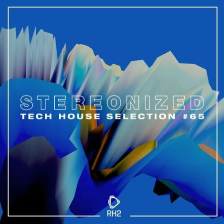 VA - Stereonized: Tech House Selection Vol.65 (2022)