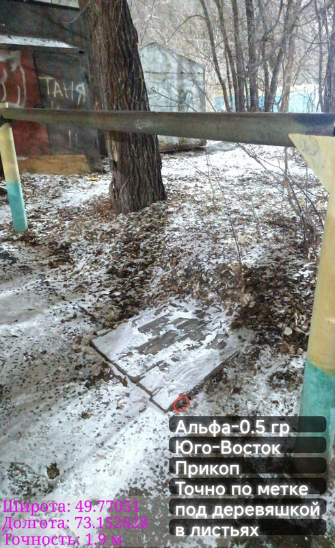 trashed 1767685242 img 042