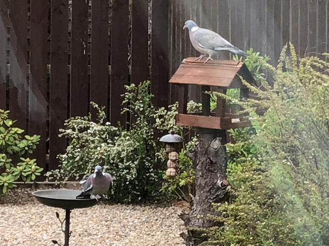 DD4F25E6-30DB-4E6A-B6B9-31733563309D