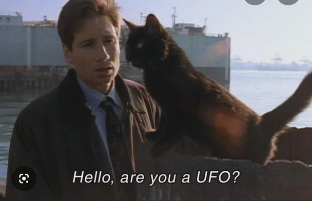 mulder.png