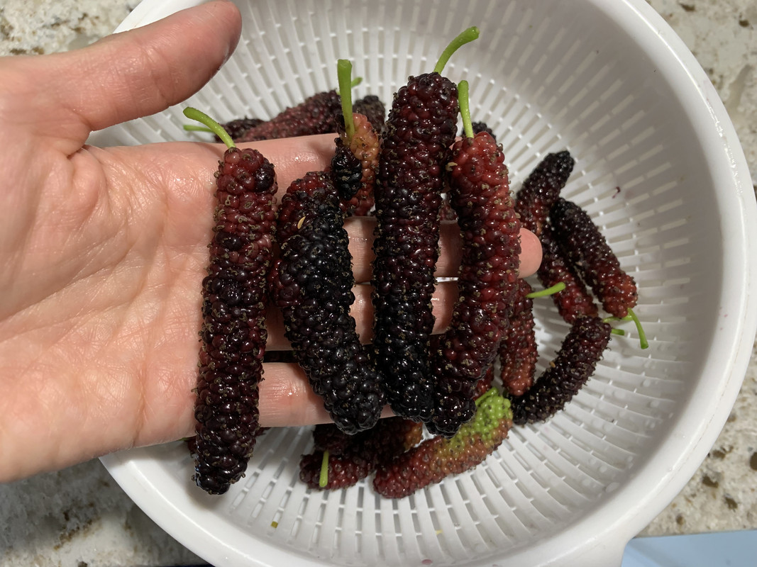 41815244-BA0F-40FB-AB5D-0E38A473E196