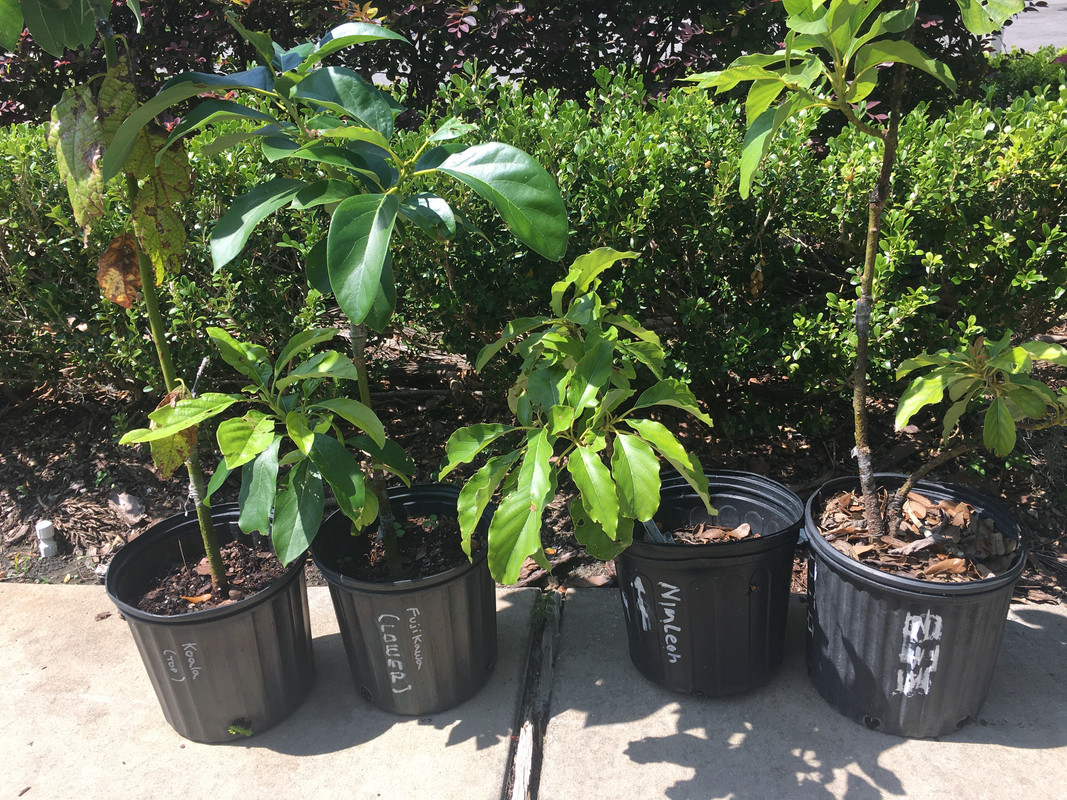 A1215958-26F8-4513-8FB0-96367446CAA1