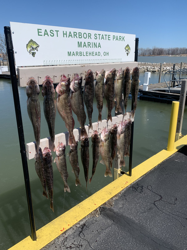 Successful Catch