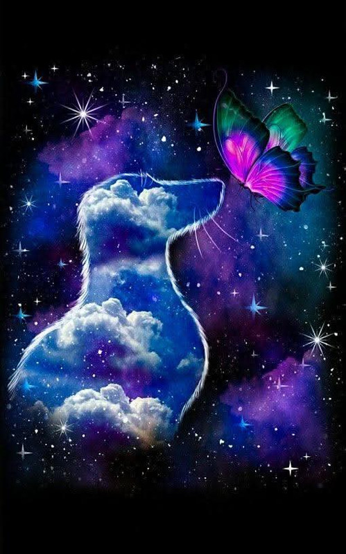 [Image: FB-IMG-1751023665305.jpg]