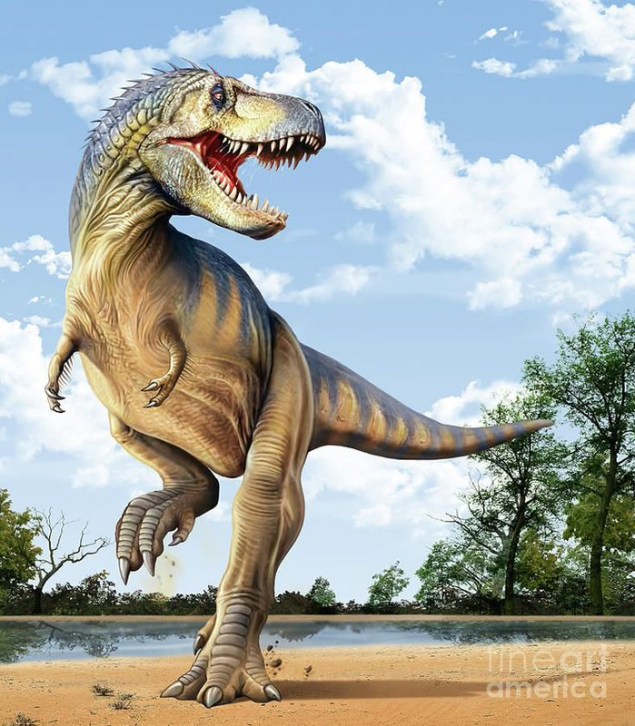 52f6ef3963e59ee87f70fbfbe4bf279d