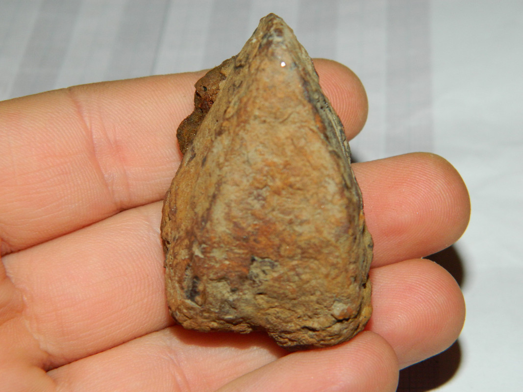 peruna 034