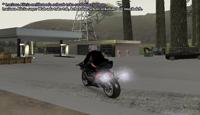 SS6.png