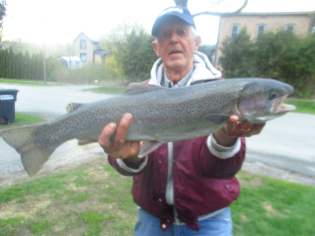 25 inch steelhead bay may 4th 2019 005
