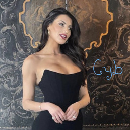 Immagine di Cybleidd