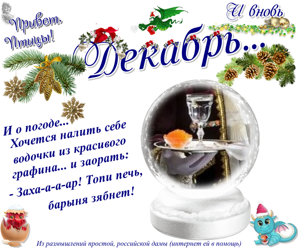 https://i.postimg.cc/vZmPBMXR/24-12.png