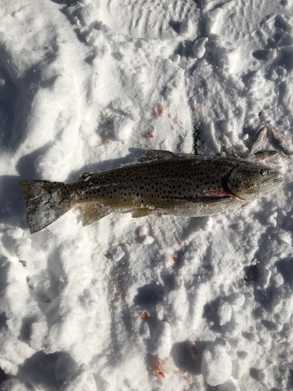 68E149DB-1076-4C78-8AAB-30A71199A471