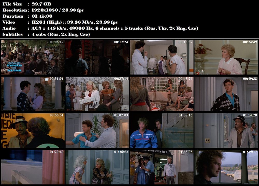 Pánská jízda / Bachelor Party (1984)