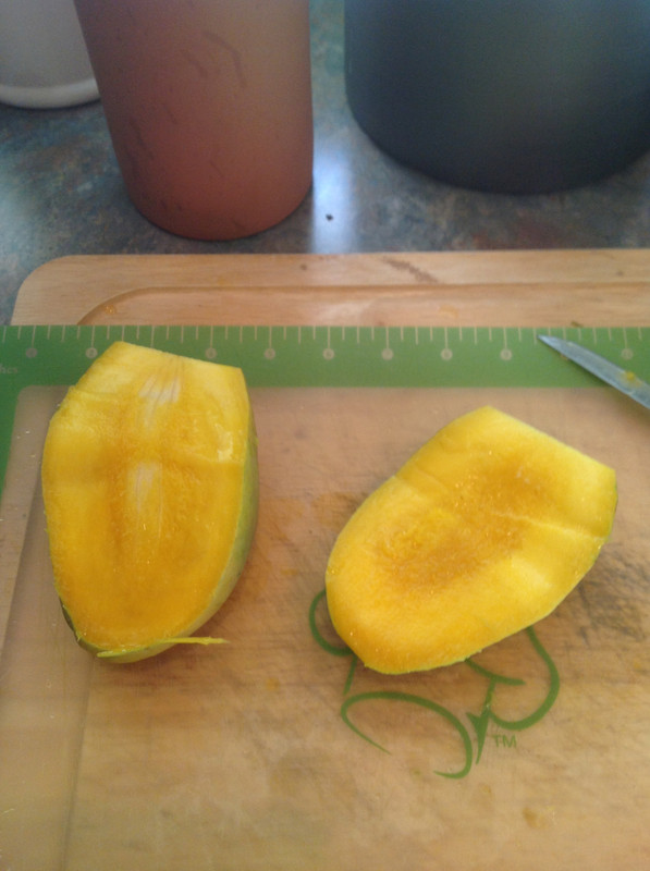 bd5dd8336ef82471334a2de19e6a7163