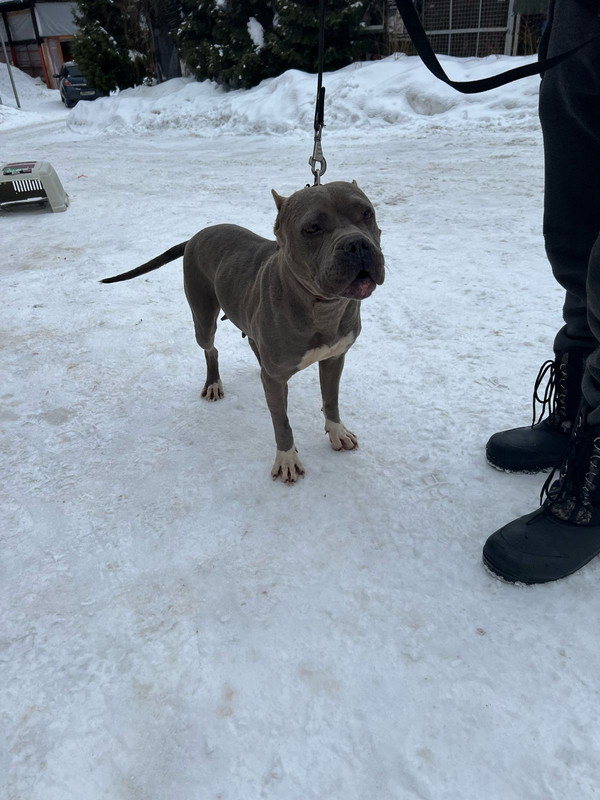 WhatsApp Image 2024-02-05 at 11.16.06 (1)