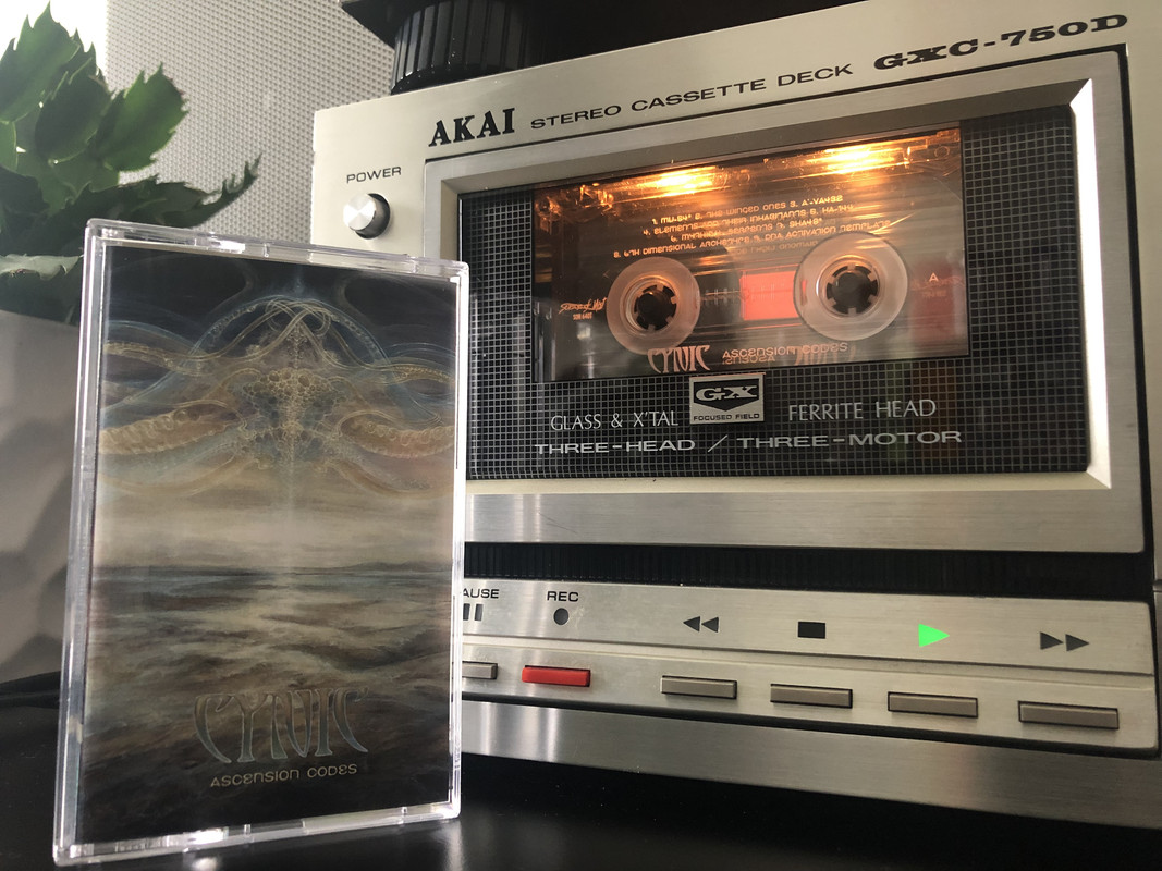 90944CCD-98A7-442A-BAB2-61CA617EEFF7