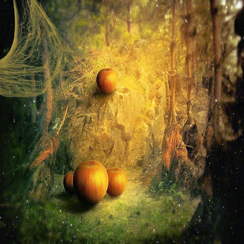 Halloweenpumpkinkiptudnpaper4