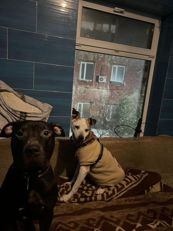 WhatsApp Image 2024-02-07 at 11.51.27 (2)