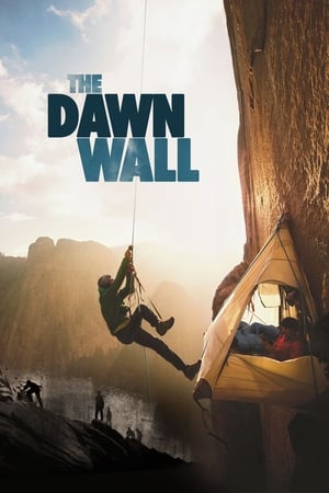 The Dawn Wall 2017 1080p BluRay H264 AAC-[LAMA]