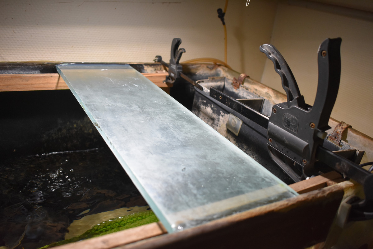 DSC_0004 - Copie (2)