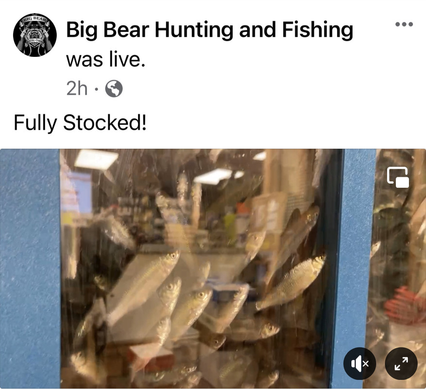 31B98488-76AD-4FEF-B57A-9ACEC90A46C4