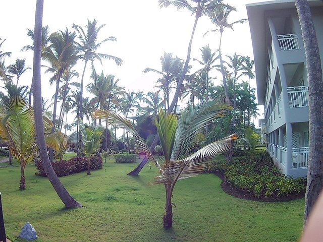 DIA 3 - HOTEL GRAND SIRENIS PUNTA CANA - Hotel Grand Sirenis Punta Cana + Samana + Cortecito (8)