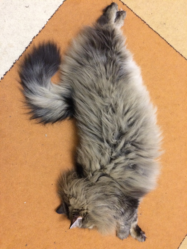 C4AF2178-7039-494F-B7FF-1C702F0ACD9B