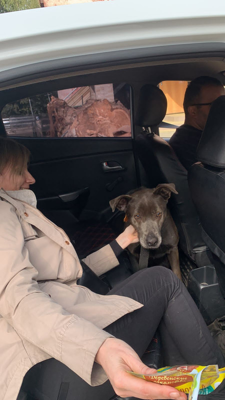 B1DE553D-43CC-4CD9-A9B1-32073033FD8B