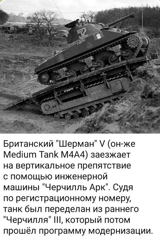 photo 2026 03 23 04 06 57