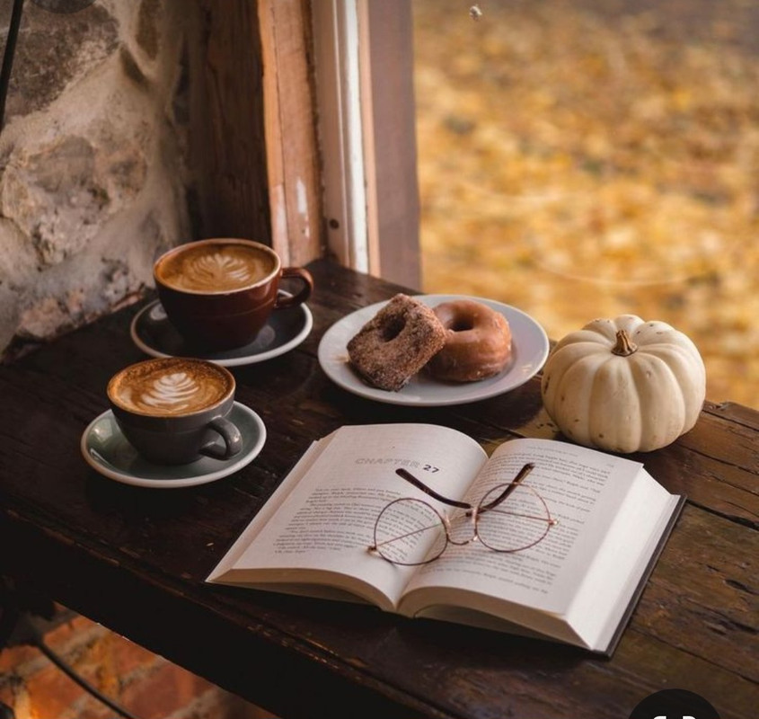 Screenshot_20231110_231825_Pinterest