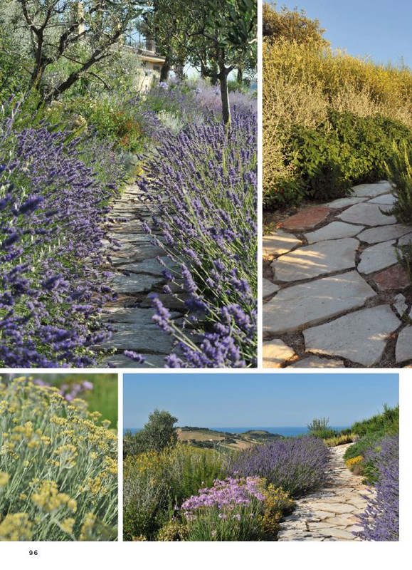 Gia Ant - Mar-Apr-Mag 2024 (9)