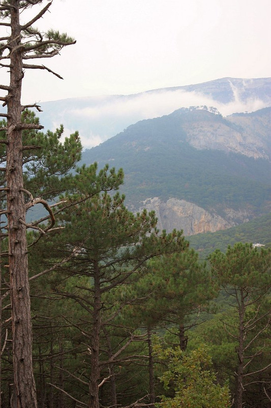 Изображение 1411