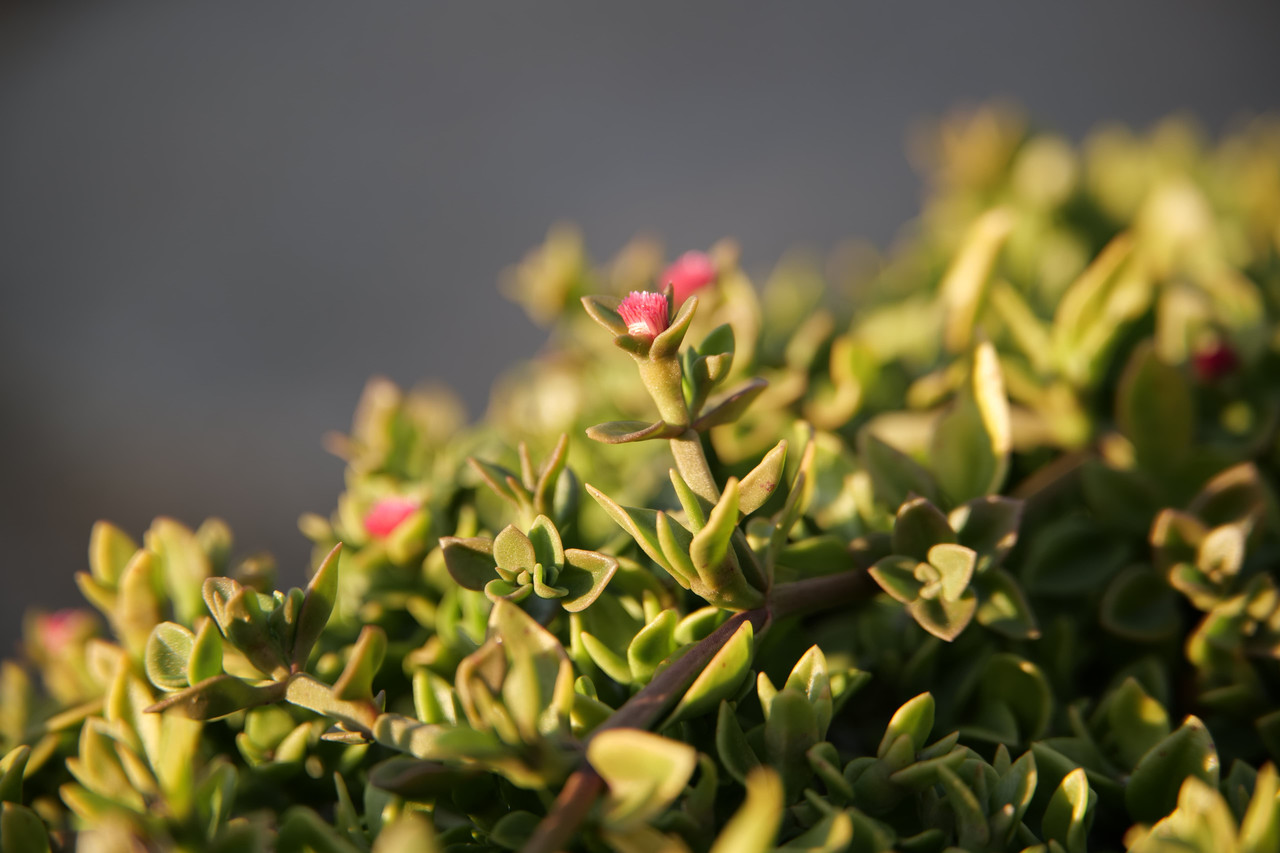 Whats App Image 2025 12 31 at 23 58 26