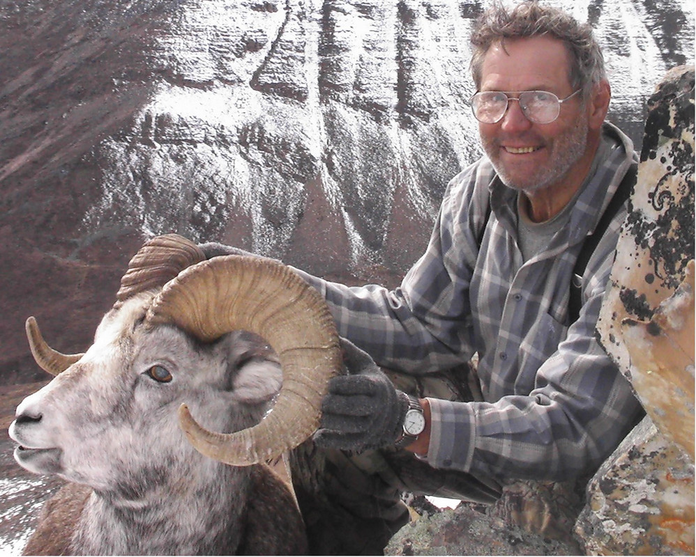 2010 sheep