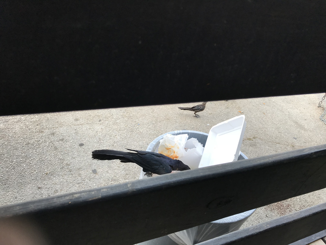 [Image: A615-A22-A-6-C9-C-4806-B8-B6-53-E00-F81974-A.jpg]