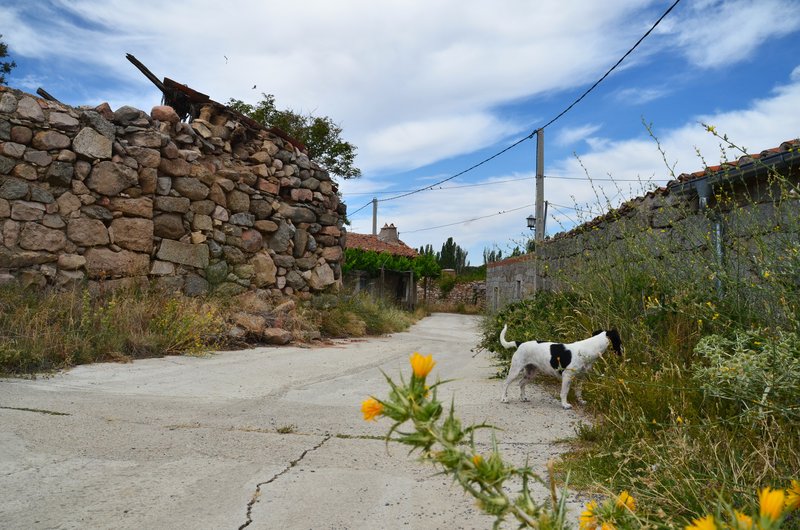 VILLAVERDE-31-7-2017-AVILA - Pueblos y lugares abandonados/deshabitados-2011 AL 2024 (22)