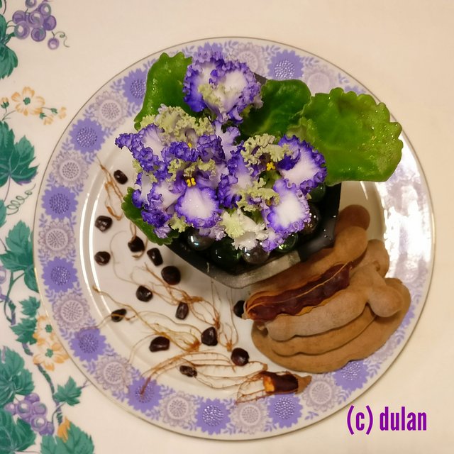 [Image: IMG-20240227-222553-1.jpg]