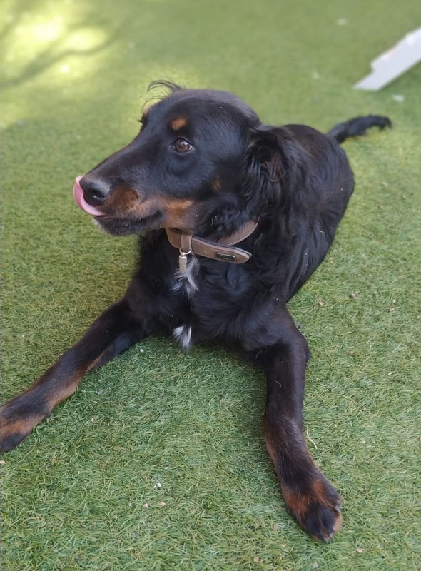 photo_2023-03-24_08-06-55 (5)