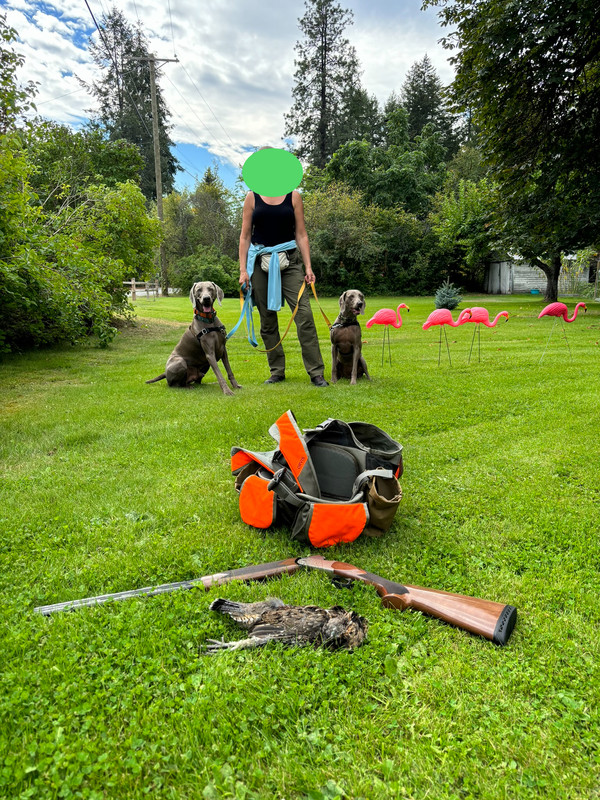 44CE95BD-1254-4932-BBD7-4807A9FB6855