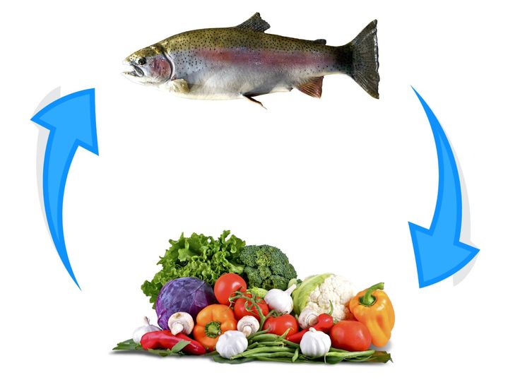 fish fertilizer - Copy