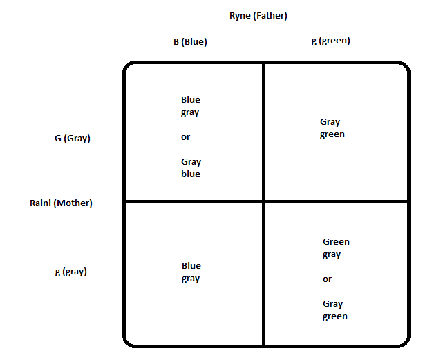 Ryne-and-Raini-Eye-Color-Genotypes-and-Phenotypes.png