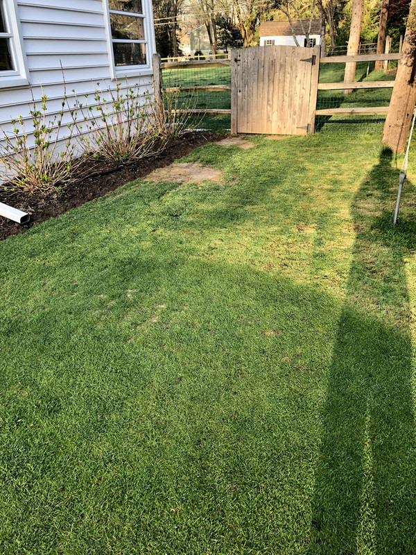 15801A1A-9985-4E4B-9C0E-BCD2E1BE9F54