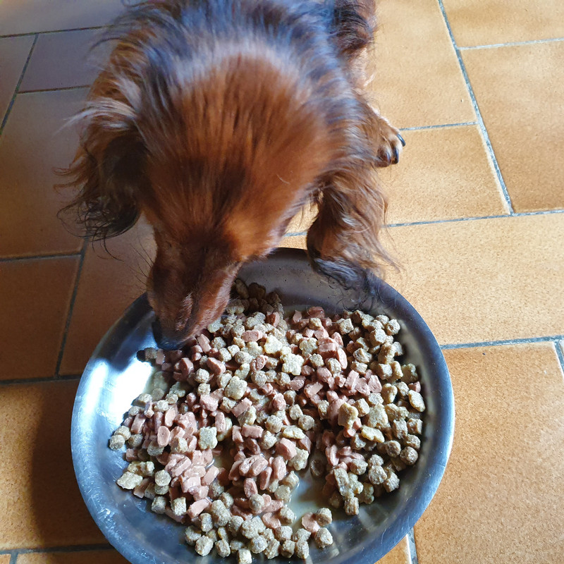 [Image: 20210518-101934.jpg]